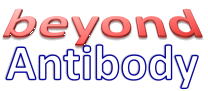 Beyond Antibody